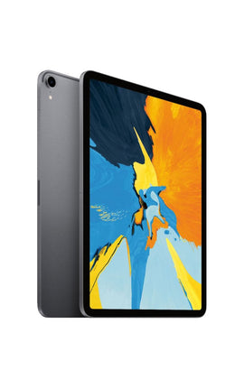 Apple - 11 Inch iPad Pro  with Wi-Fi 256GB