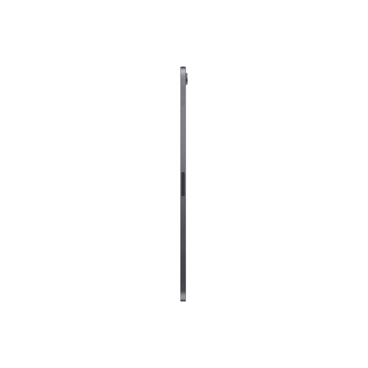 Apple - 11 Inch iPad Pro  with Wi-Fi 256GB